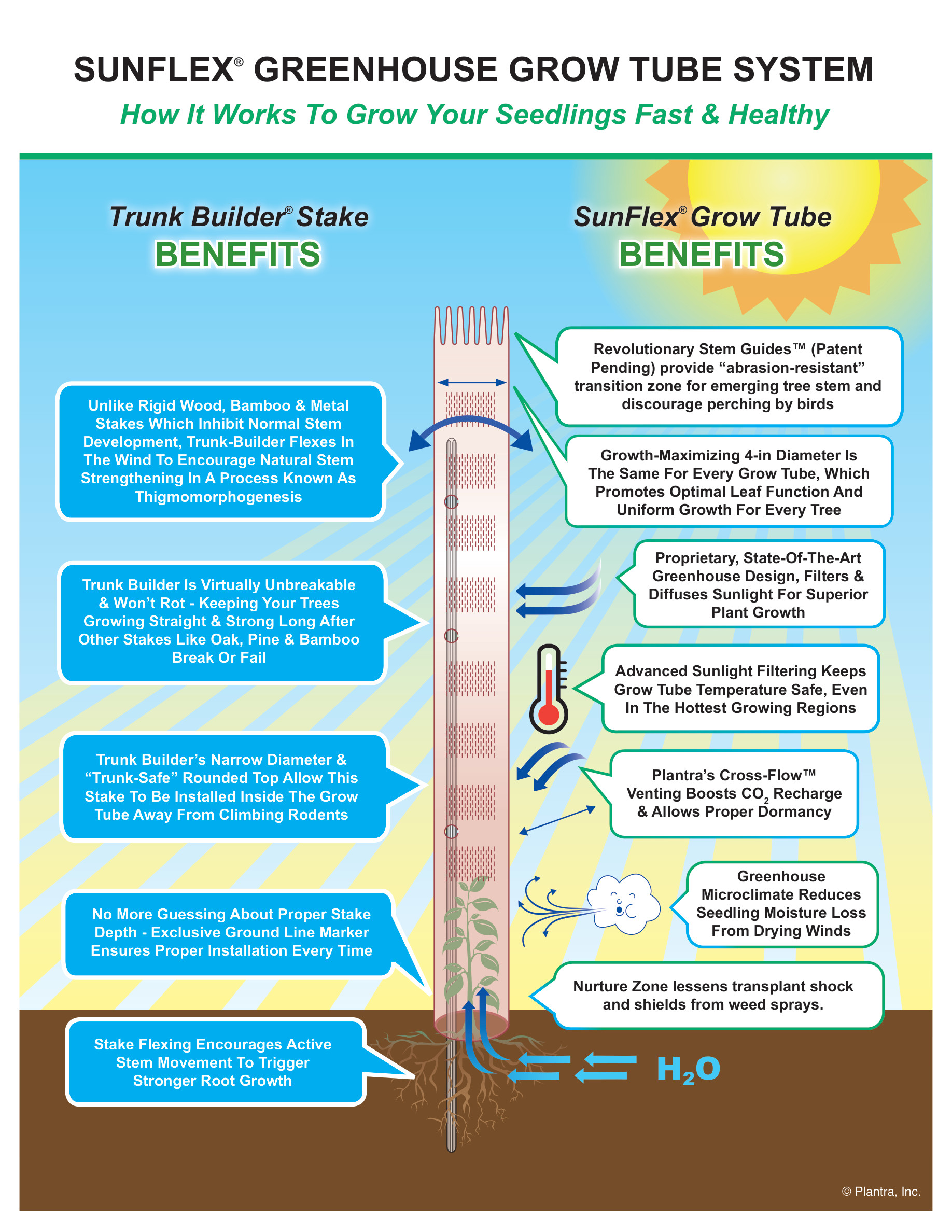 SunFlex Grow Tubes with Stem Guides infographic